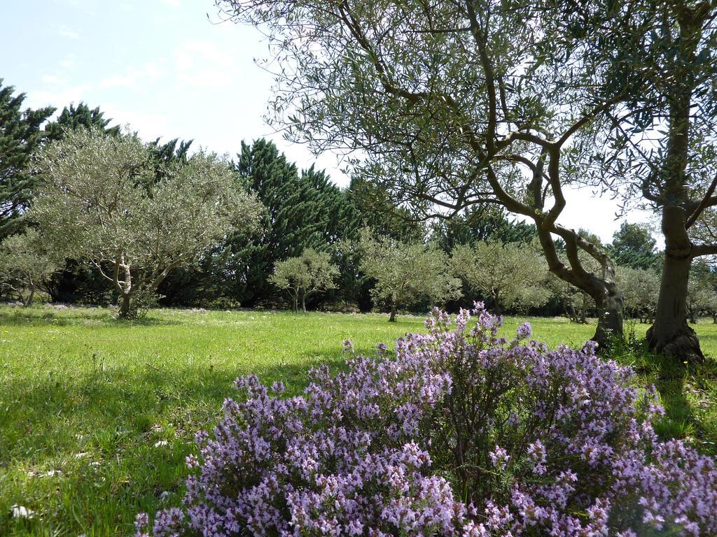 Les Mazets Du Luberon Bed & Breakfast Puget Exterior photo
